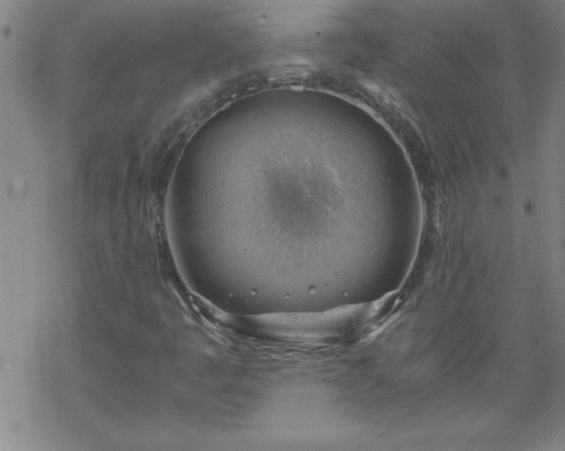 X0000068901445200605122048