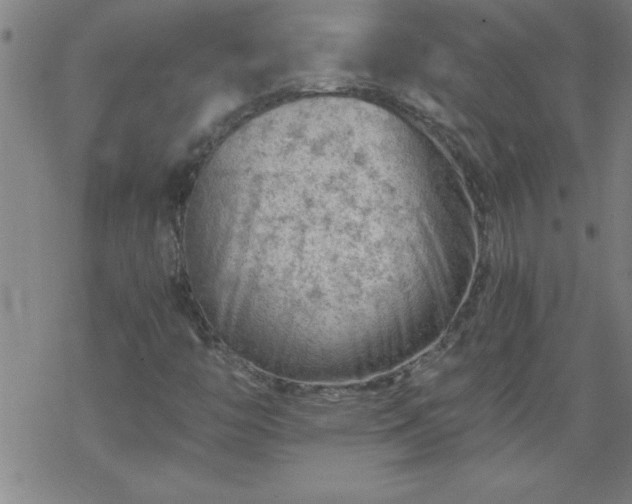 X0000068901446200605122048