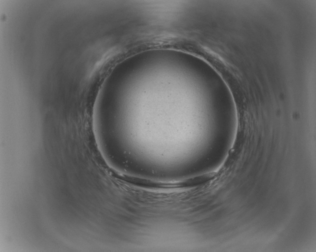 X0000068901447200605122048