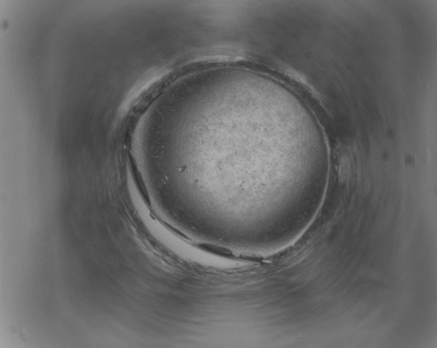 X0000068901448200605122048