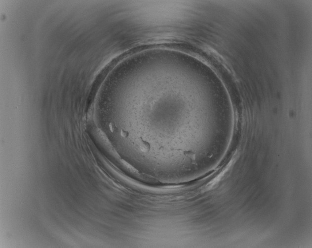 X0000068901449200605122048