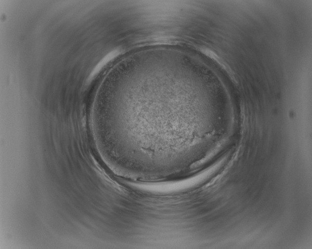 X0000068901450200605122048