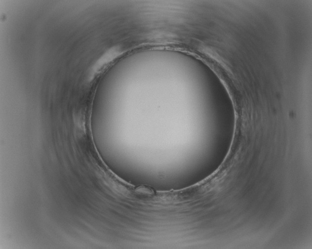 X0000068901451200605122048