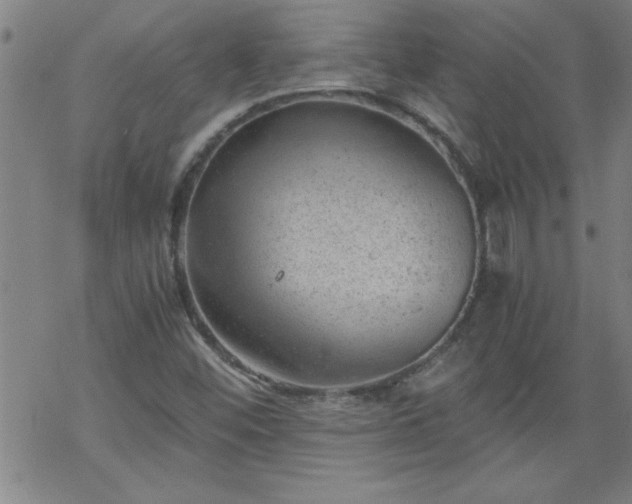 X0000068901452200605122048