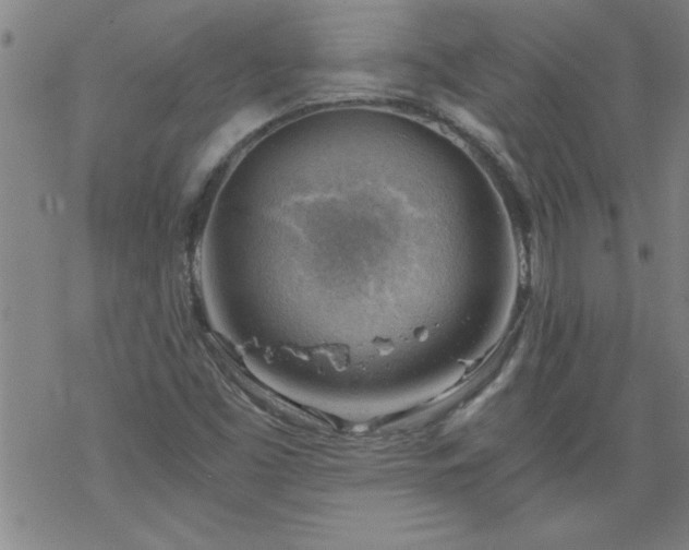 X0000068901453200605122048