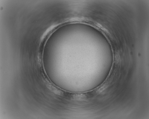 X0000068901454200605122048