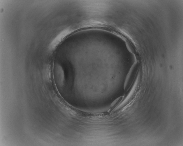 X0000068901455200605122048