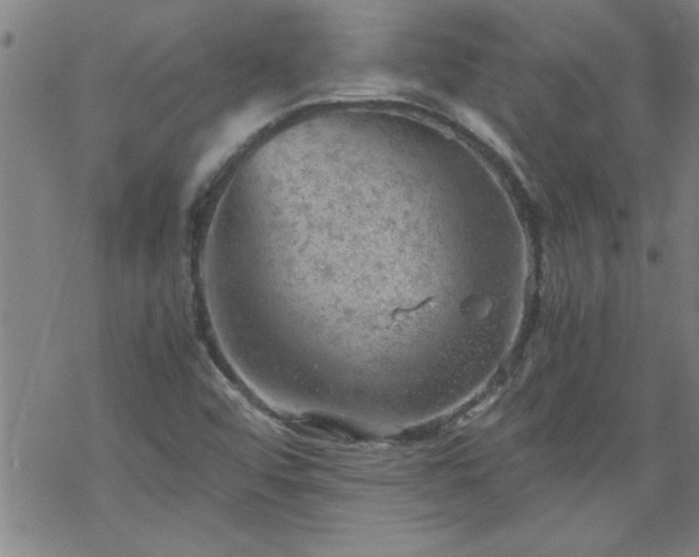 X0000068901456200605122047