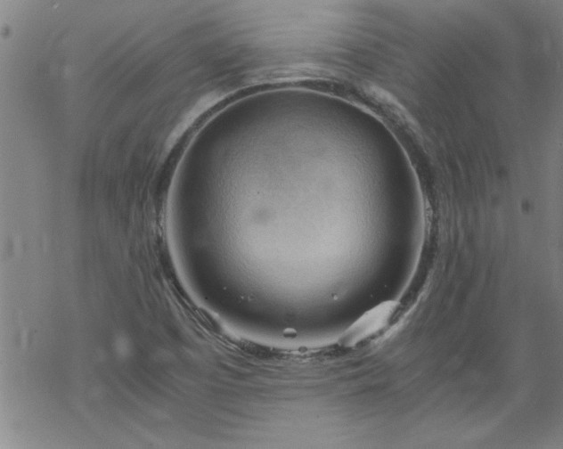 X0000068901457200605122047