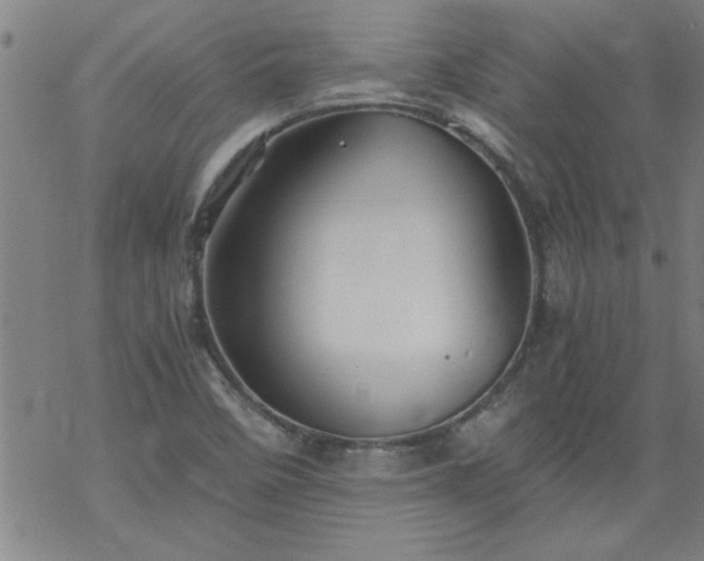 X0000068901458200605122047