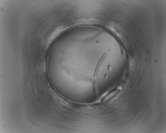 X0000068901459200605122047