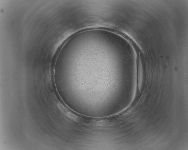 X0000068901460200605122047