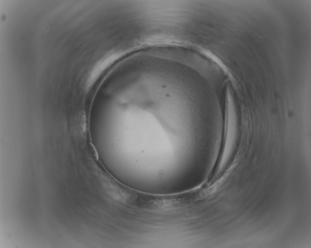 X0000068901461200605122047