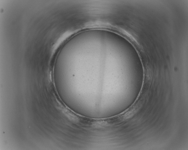 X0000068901462200605122047