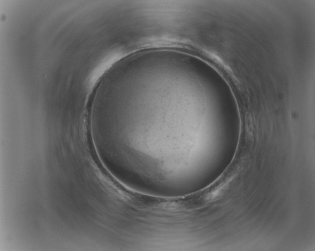 X0000068901463200605122047