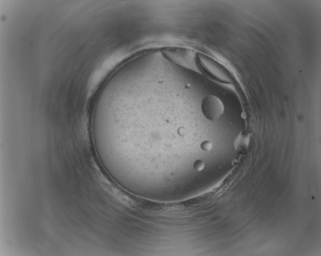 X0000068901464200605122047