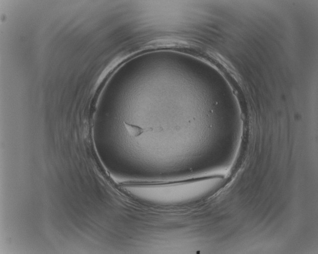 X0000068901465200605122047