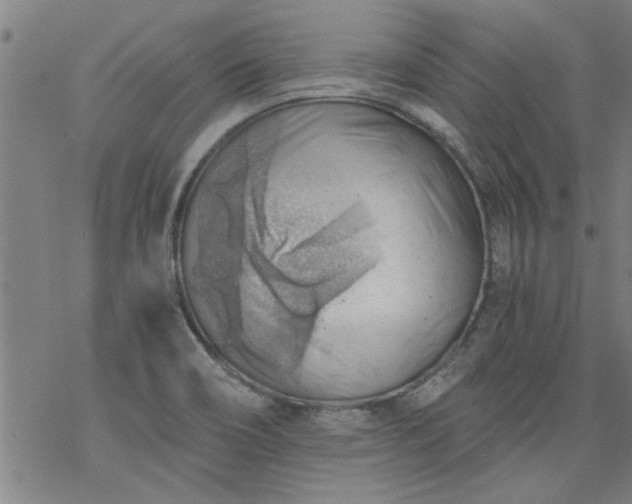 X0000068901466200605122047