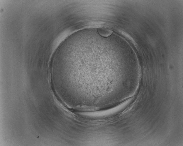 X0000068901467200605122047