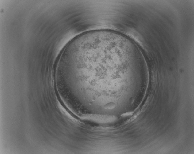 X0000068901468200605122047