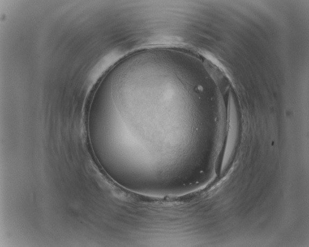 X0000068901469200605122047