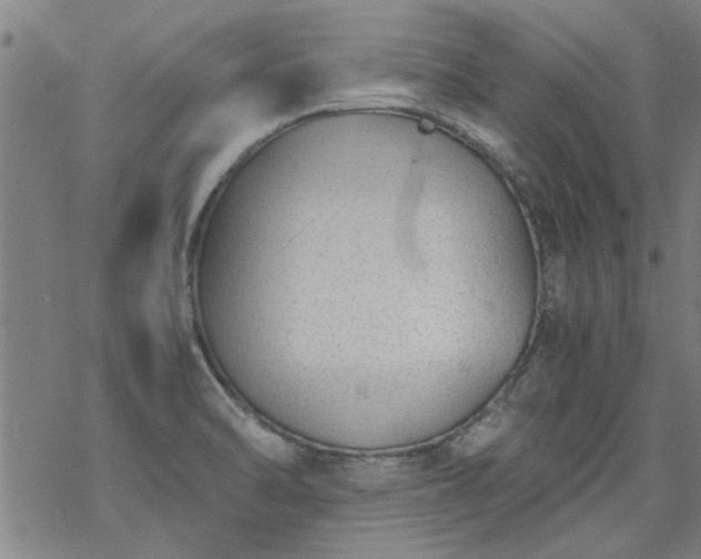 X0000068901470200605122047