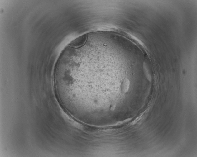 X0000068901471200605122047