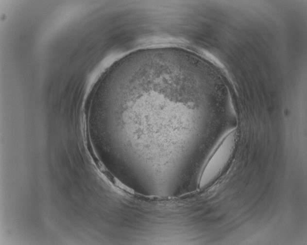 X0000068901472200605122047