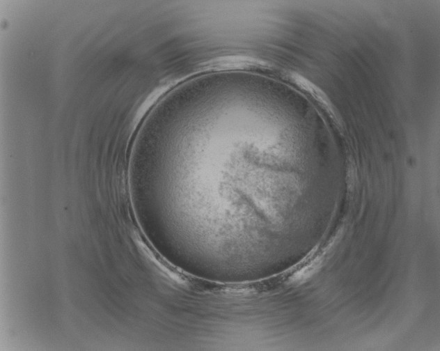 X0000068901473200605122047