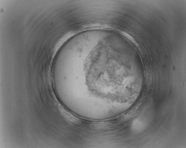 X0000068901474200605122047