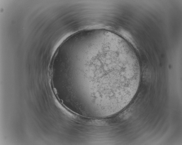 X0000068901476200605122047