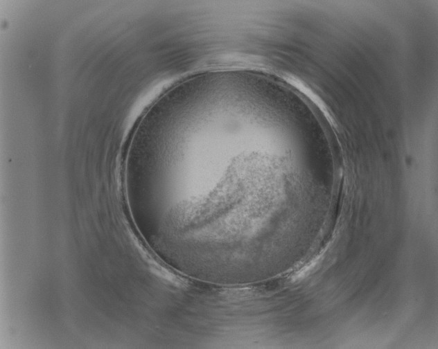 X0000068901477200605122047