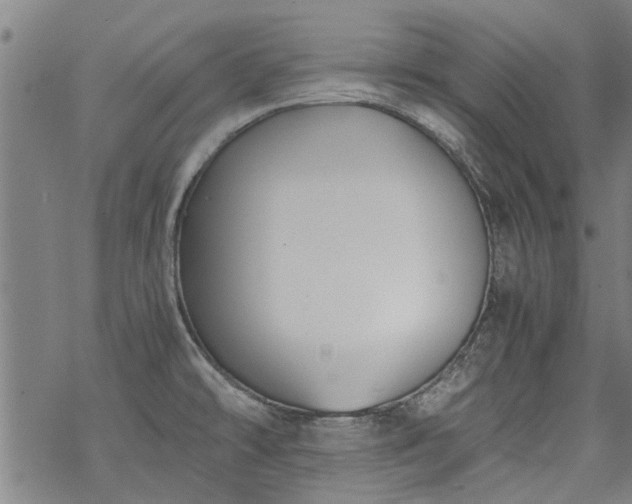 X0000068901478200605122047