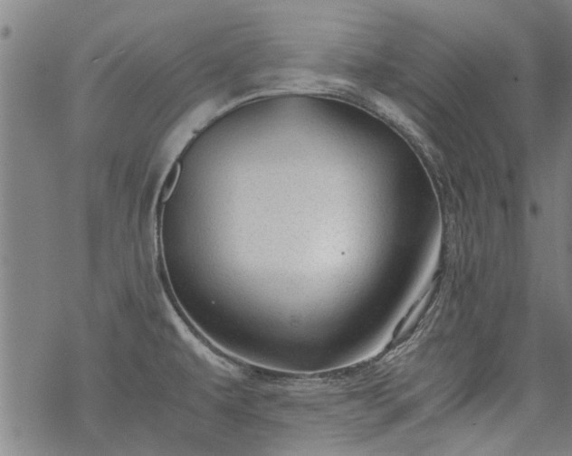 X0000068901479200605122047