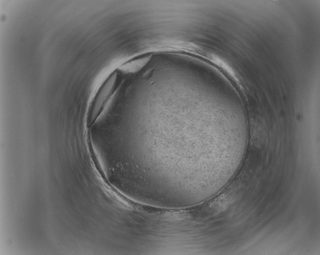 X0000068901480200605122047