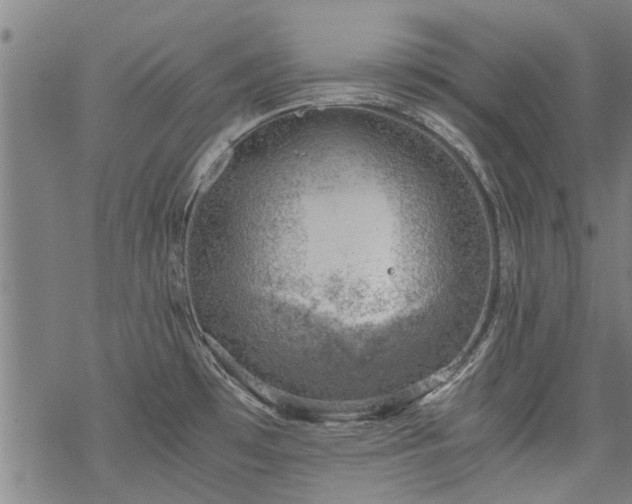 X0000068901481200605122047