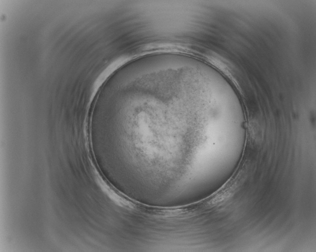 X0000068901482200605122047