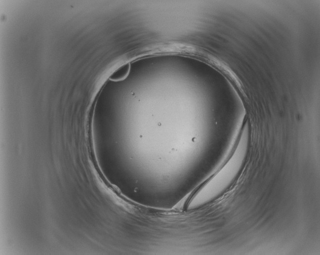 X0000068901483200605122047