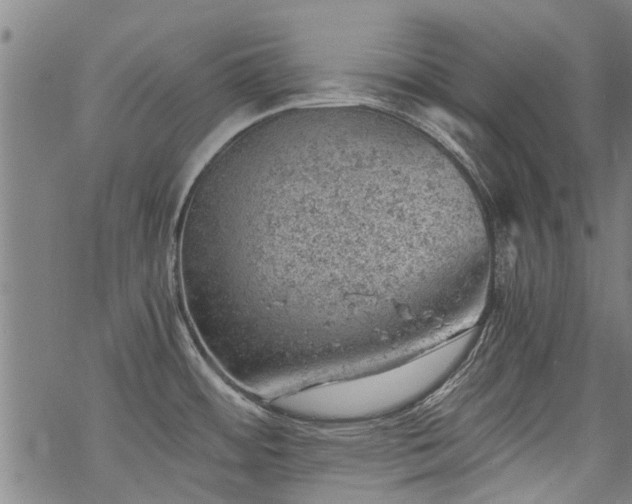 X0000068901484200605122047