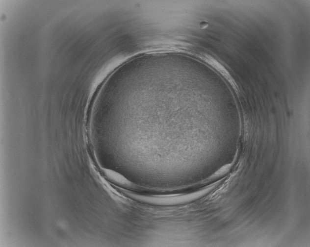 X0000068901485200605122047