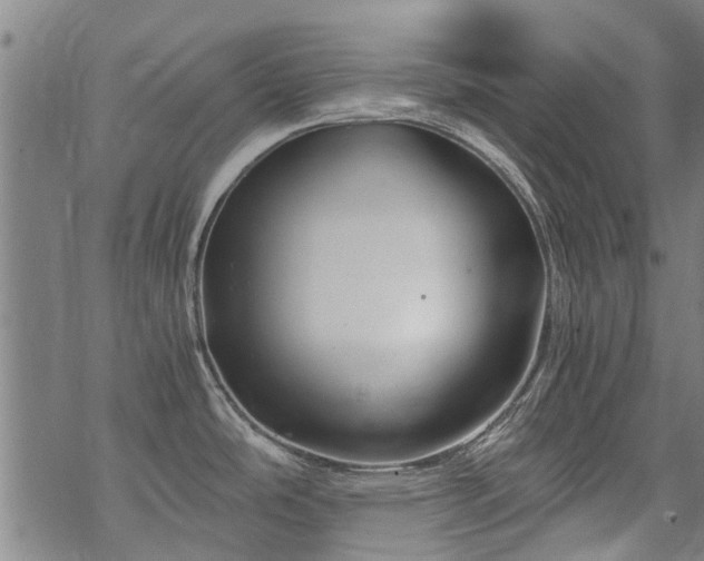 X0000068901486200605122047