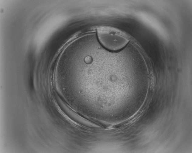 X0000068901487200605122047