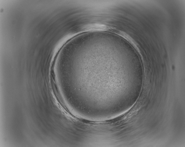 X0000068901488200605122047