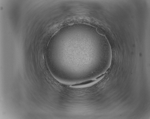 X0000068901489200605122046