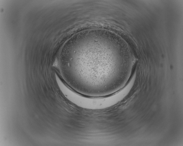 X0000068901490200605122046