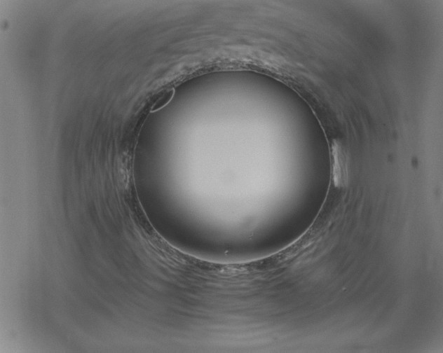 X0000068901491200605122046