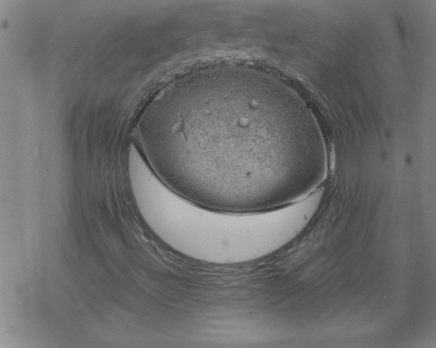 X0000068901492200605122046