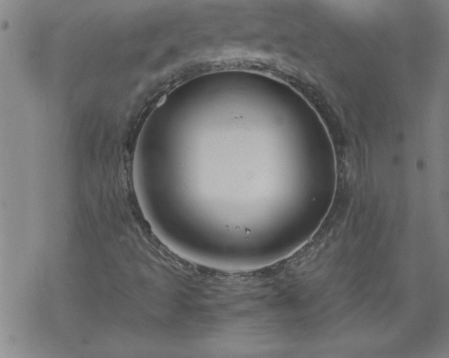 X0000068901493200605122046