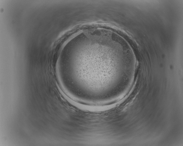 X0000068901494200605122046