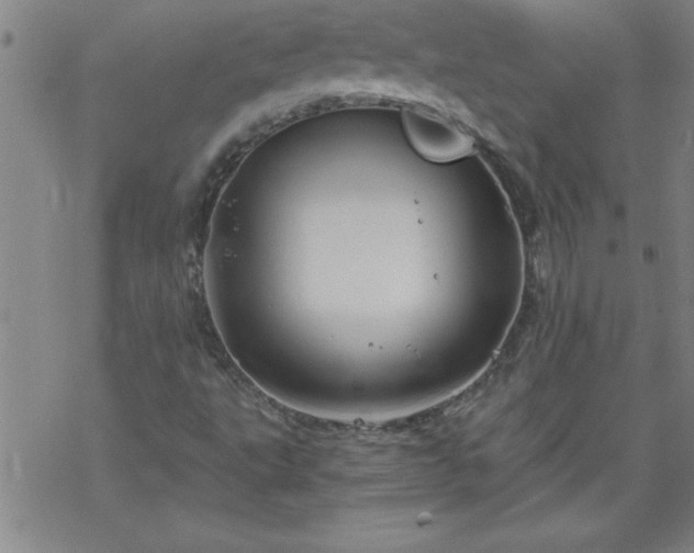 X0000068901495200605122046